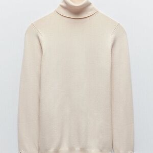 Zara turtleneck sweater